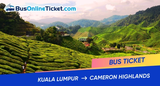 Bus from KL to Cameron Highlands